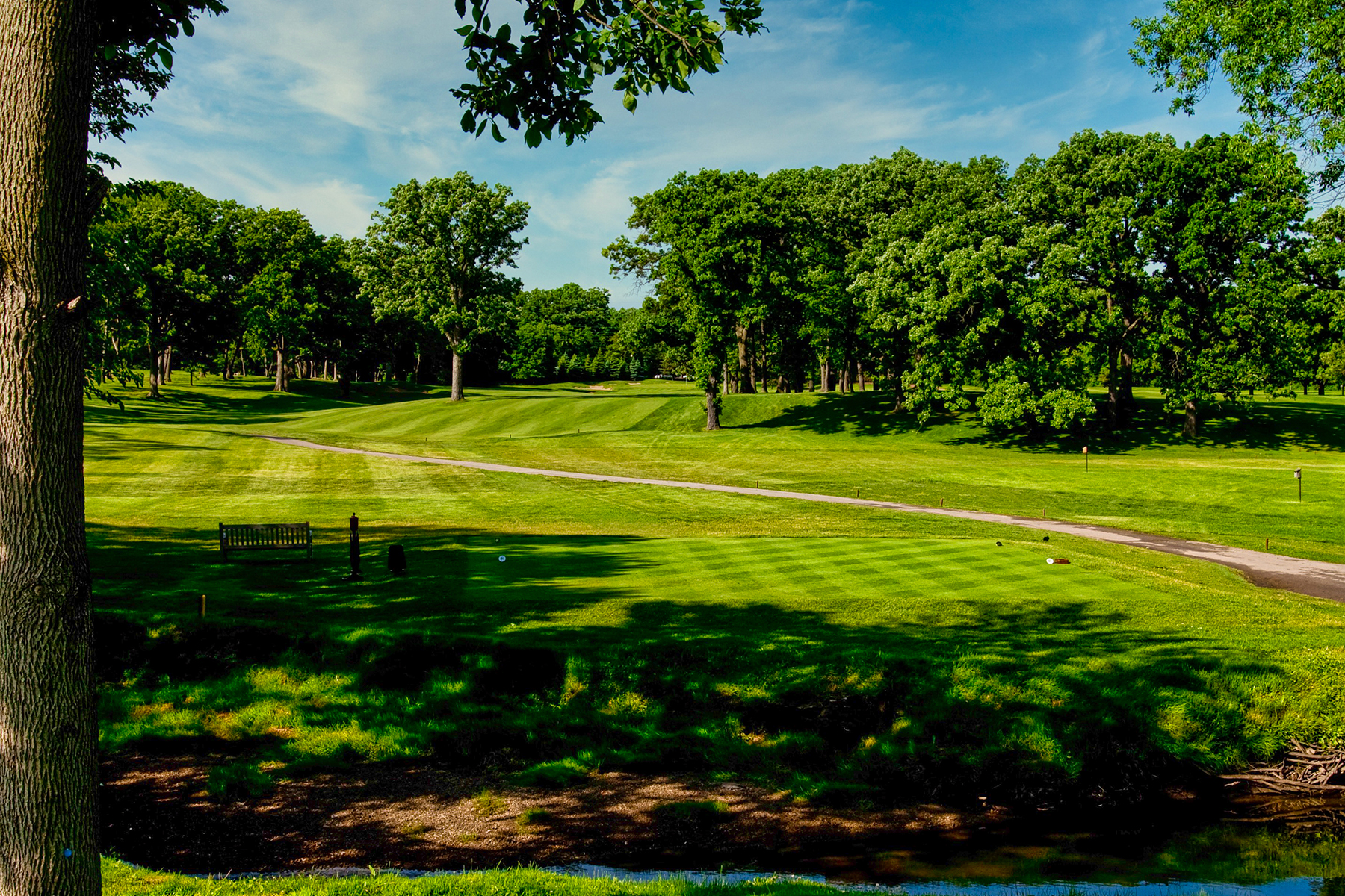 Flossmoor Golf Club - Hole #14