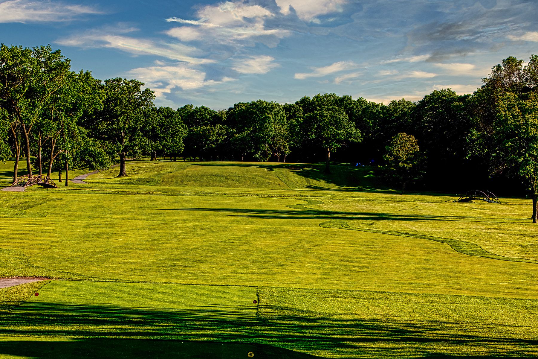 Flossmoor Golf Club - Hole #17