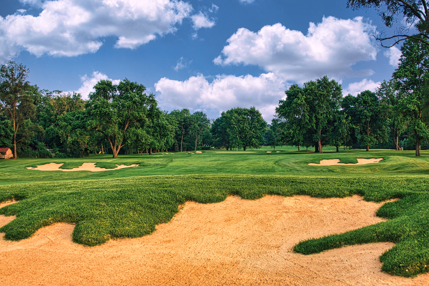 Flossmoor Golf Club - Hole #5